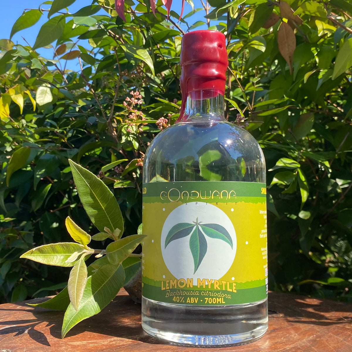 Lemon Myrtle Gondwana Spirit – Beech Mountain Distillery